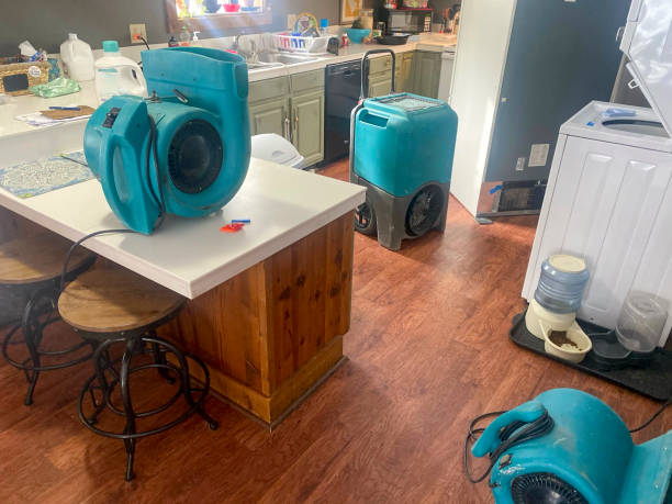  La Porte City, IA Water damage restoration Pros