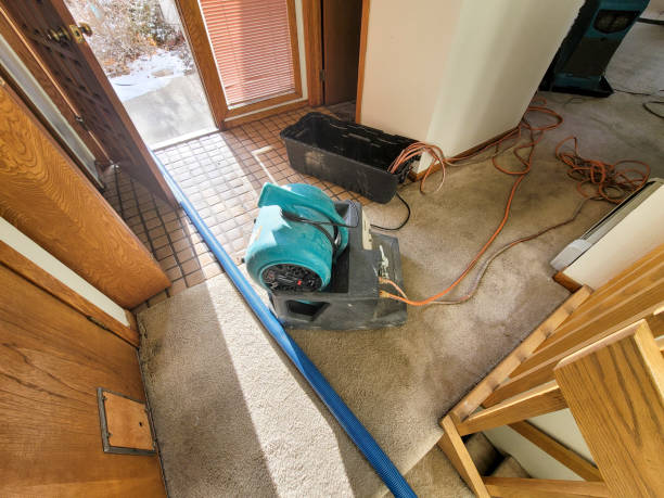 Professional Water damage restoration in IA