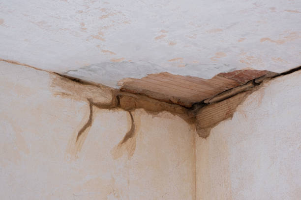 Best Mold removal after water damage  in La Porte City, IA