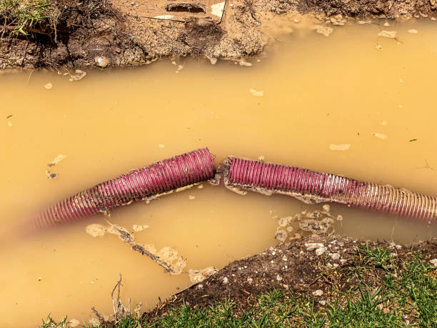 Best Commercial water damage restoration  in La Porte City, IA